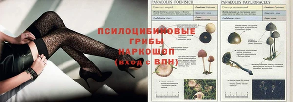 каннабис Аркадак