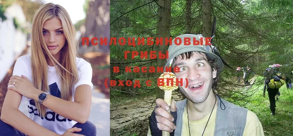 каннабис Аркадак