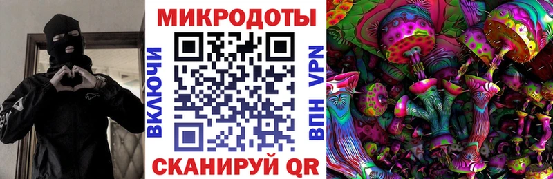 Галлюциногенные грибы Psilocybe  купить   Себеж 