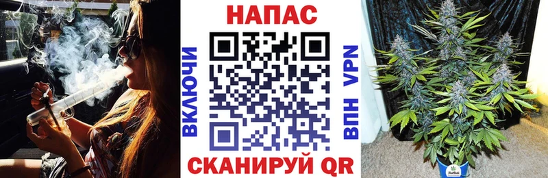 Бошки марихуана индика  Себеж 